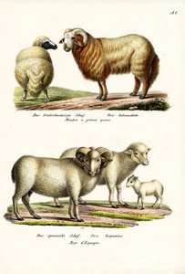 1824年